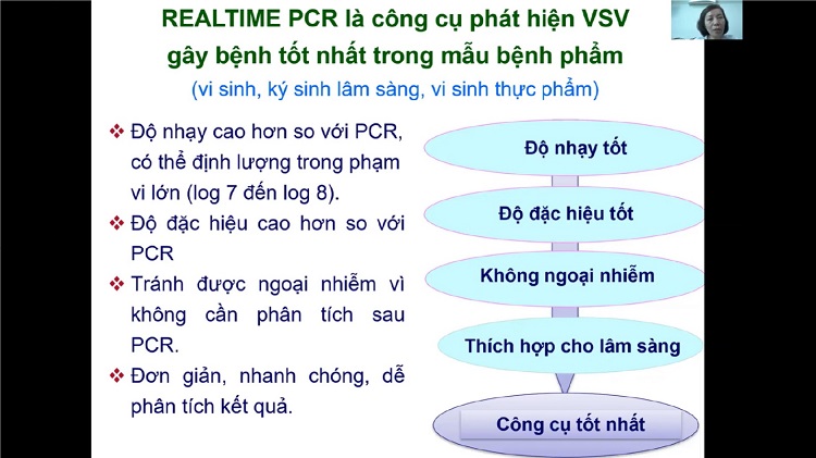 sòng bạc trực tuyến tốt nhất